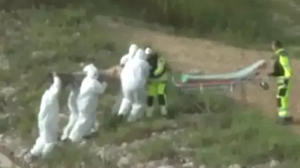האם זה בן ים שנמצא על גדות אגם בפולין? האם זה בן ים שנמצא על גדות אגם בפולין?