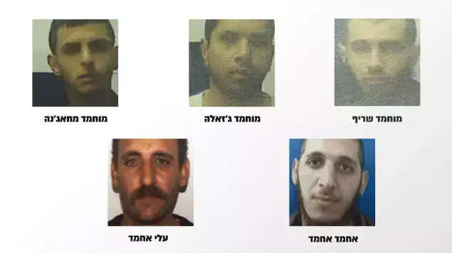 חשודים במעורבות בחוליית דאעש בישראל חשודים במעורבות בחוליית דאעש בישראל