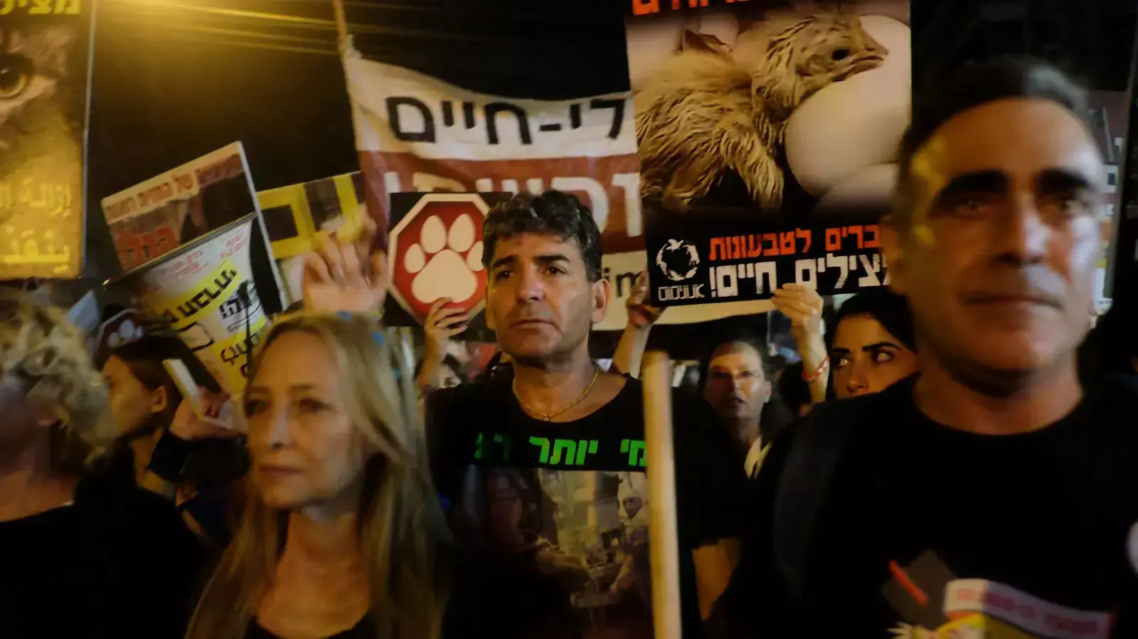 אלפים בצעדה למען זכויות בעלי חיים בתל אביב 3 באוקטובר 2015 אלפים בצעדה למען זכויות בעלי חיים בתל אביב 3 באוקטובר 2015