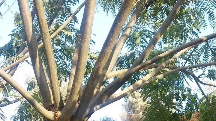 נאוה זר, בתו של גלעד זר, קב"ט המועצה האזורית שומרון שנרצח בפיגוע לפני כ-15 שנה ליד יצהר