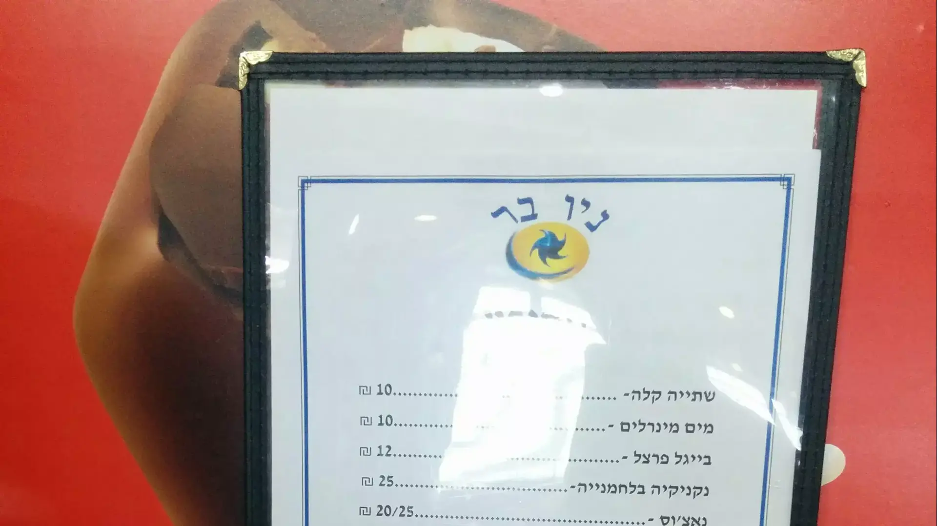 חיים של אבא- דיסני על הקרח חיים של אבא- דיסני על הקרח