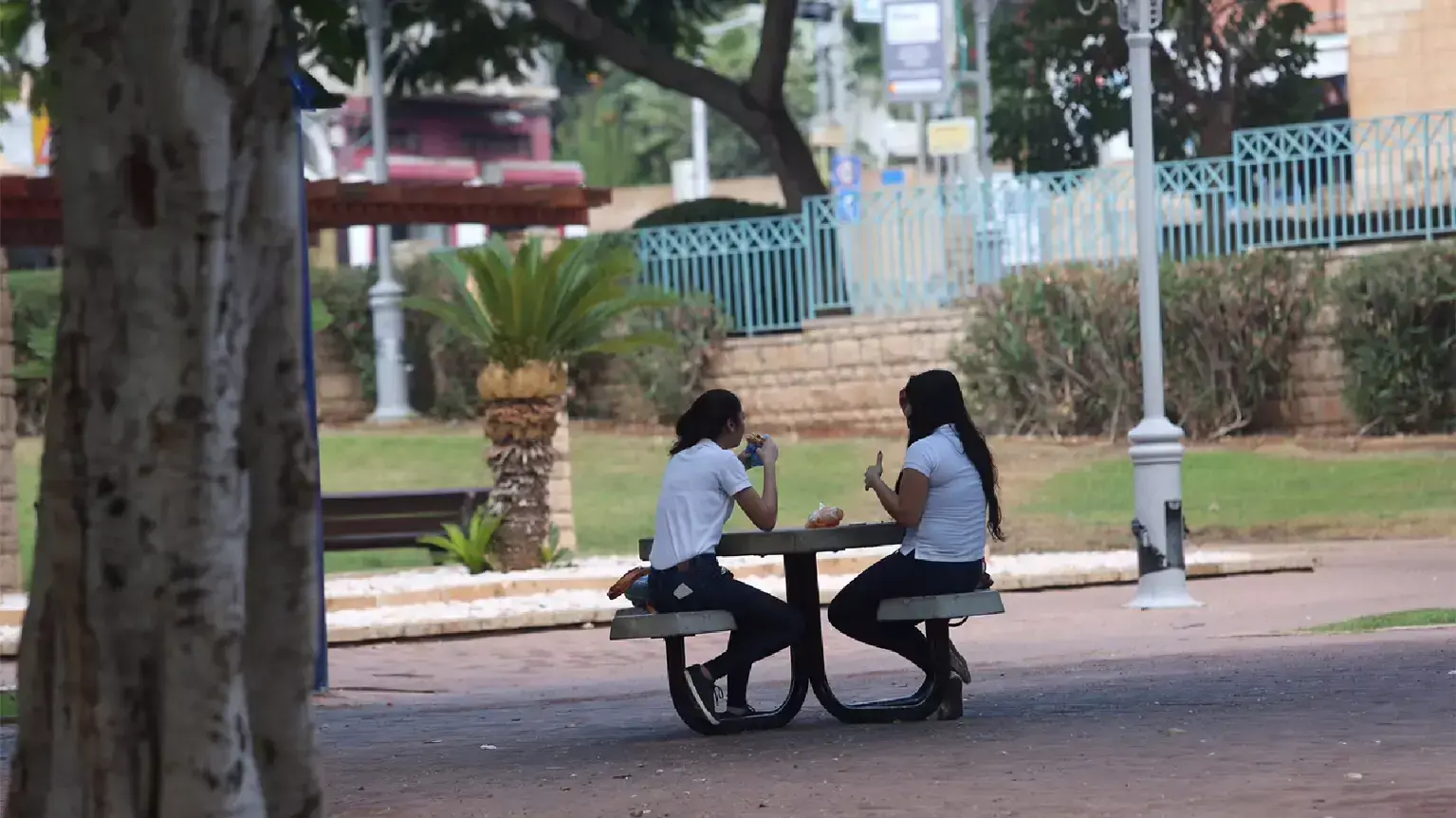גן השניים ביפו. אוקטובר 2015 גן השניים ביפו. אוקטובר 2015