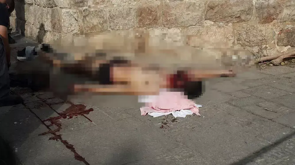 חוסל המחבל בניסיון הפיגוע בשער האריות. ירושלים, אוקטובר 2015 חוסל המחבל בניסיון הפיגוע בשער האריות. ירושלים, אוקטובר 2015