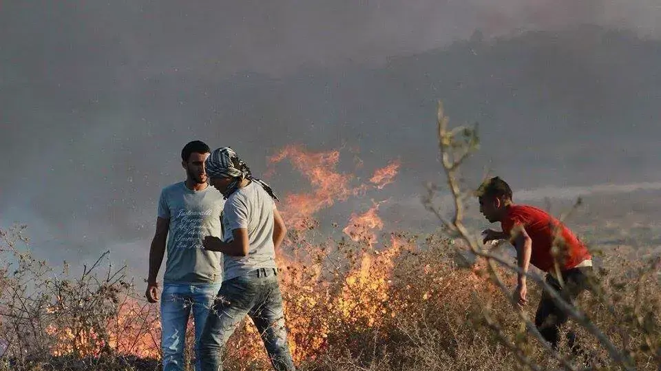 מפגינים פלסטינים ברצועת עזה. אוקטובר 2015 מפגינים פלסטינים ברצועת עזה. אוקטובר 2015