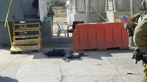 צילום המחבלת שביצעה את פיגוע הדקירה בחברון צילום המחבלת שביצעה את פיגוע הדקירה בחברון