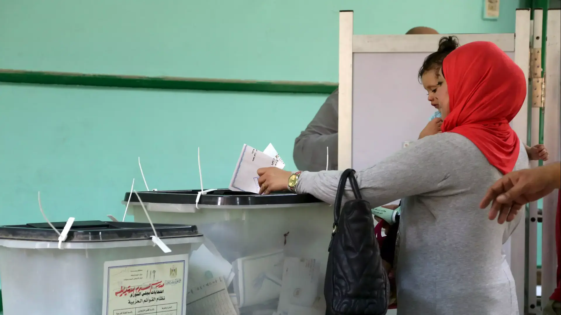 בחירות לפרלמנט במצרים, אוקטובר 2015