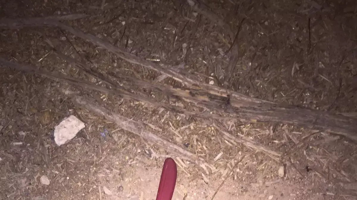 סיכול פיגוע בצומת ג'ית סמוך לקדומים. כוח צה"ל עצר ערביה עם סכין. 24 באוקטובר 2015 סיכול פיגוע בצומת ג'ית סמוך לקדומים. כוח צה"ל עצר ערביה עם סכין. 24 באוקטובר 2015