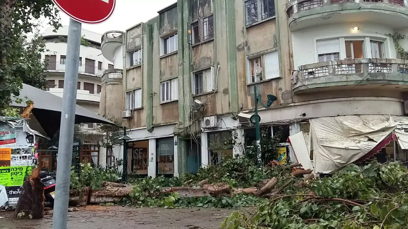 עץ נפל במתחם נגה, תל אביב, 25 באוקטובר 2015 עץ נפל במתחם נגה, תל אביב, 25 באוקטובר 2015