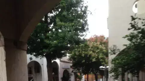 מדרחוב ירושלים בכפר סבא, אוקטובר 2015 מדרחוב ירושלים בכפר סבא, אוקטובר 2015
