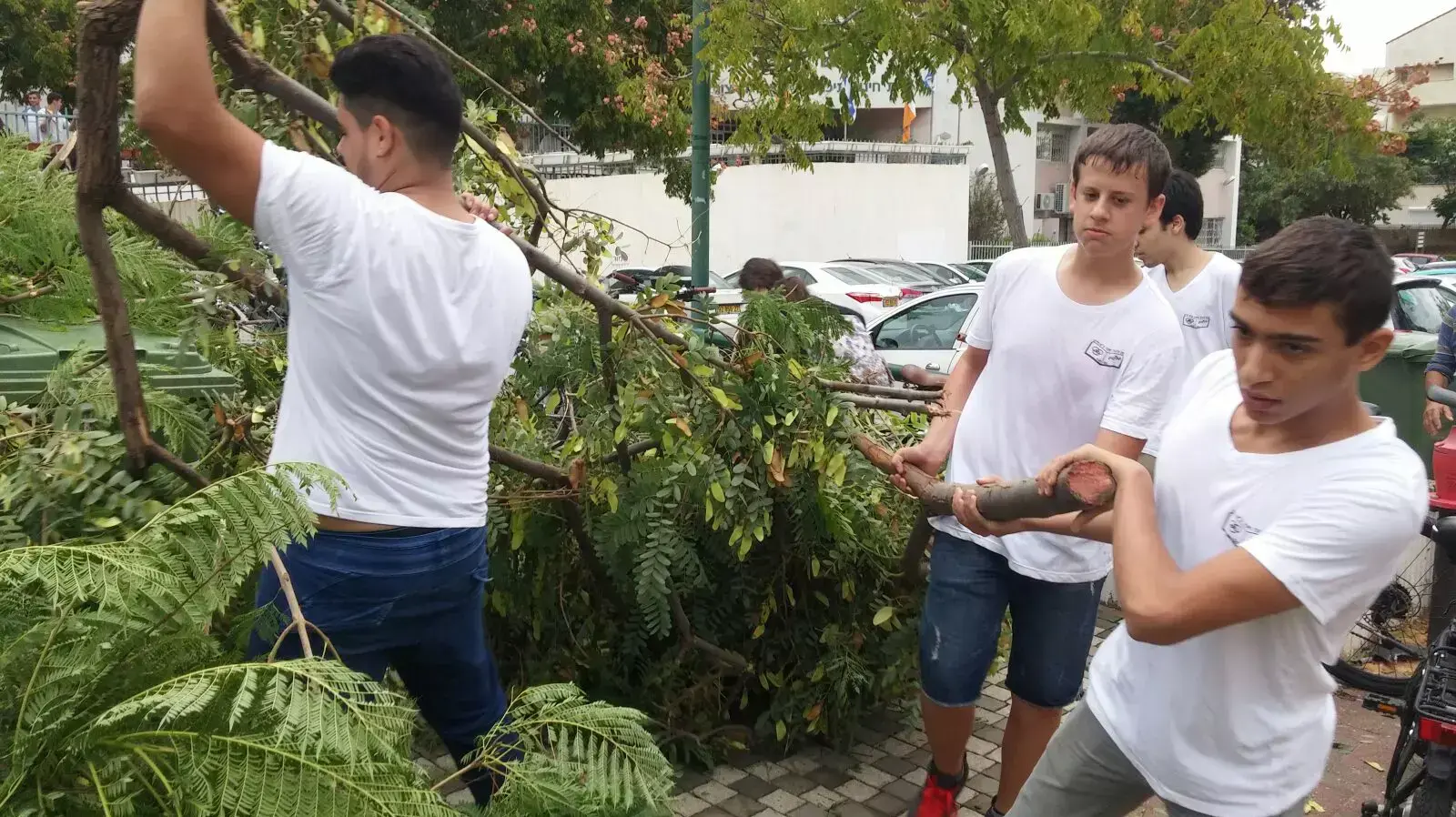 תלמידי תיכון מפנים את ענפים שנפלו כתוצאה ממזג האוויר, כפר סבא תלמידי תיכון מפנים את ענפים שנפלו כתוצאה ממזג האוויר, כפר סבא