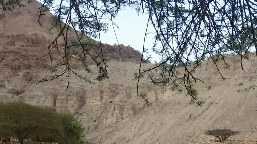 זרימה בנחל דוד, אוקטובר 2015