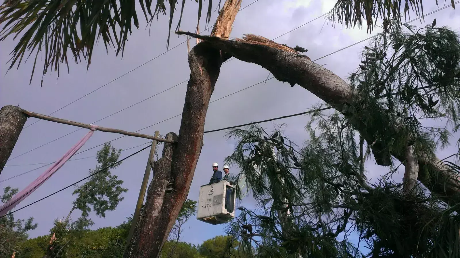 חברת חשמל במהלך עבודות בשדה ורבורג, אוקטובר 2015