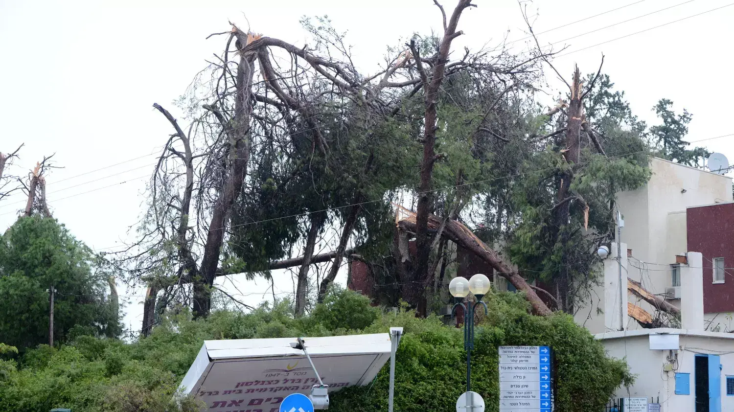 נזקי מזג האוויר, בית ברל, 29 באוקטובר 2015 נזקי מזג האוויר, בית ברל, 29 באוקטובר 2015