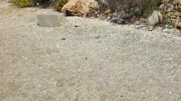 ניסיון דקירה בצומת תפוח בשומרון, לוחמת ירתה בשני מחבלים, 30 באוקטובר 2015 ניסיון דקירה בצומת תפוח בשומרון, לוחמת ירתה בשני מחבלים, 30 באוקטובר 2015