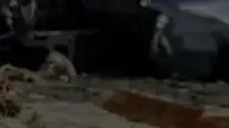 התרסקות מטוס רוסי בסיני