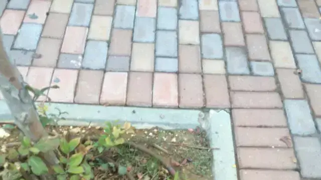 גבר כבן 30 נפצע קשה בפיגוע דקירה בבנימין, 6 בנובמבר 2015 גבר כבן 30 נפצע קשה בפיגוע דקירה בבנימין, 6 בנובמבר 2015