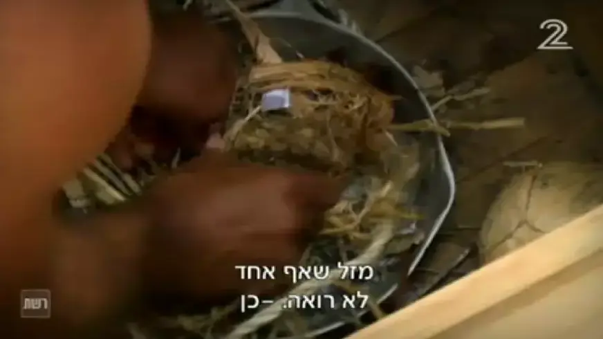 הישרדות הונדורס פרק 3 הישרדות הונדורס פרק 3