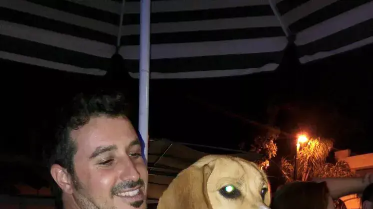 בעליו של כלב שנגנב ניסה לקנות אותו מידי הגנב אולם בסוף הכלב הומת. נובמבר 2015 בעליו של כלב שנגנב ניסה לקנות אותו מידי הגנב אולם בסוף הכלב הומת. נובמבר 2015