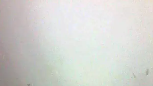 ליית' מונאסרה. אחד ההרוגים בפעילות דובדבן בקלנדיה ליית' מונאסרה. אחד ההרוגים בפעילות דובדבן בקלנדיה