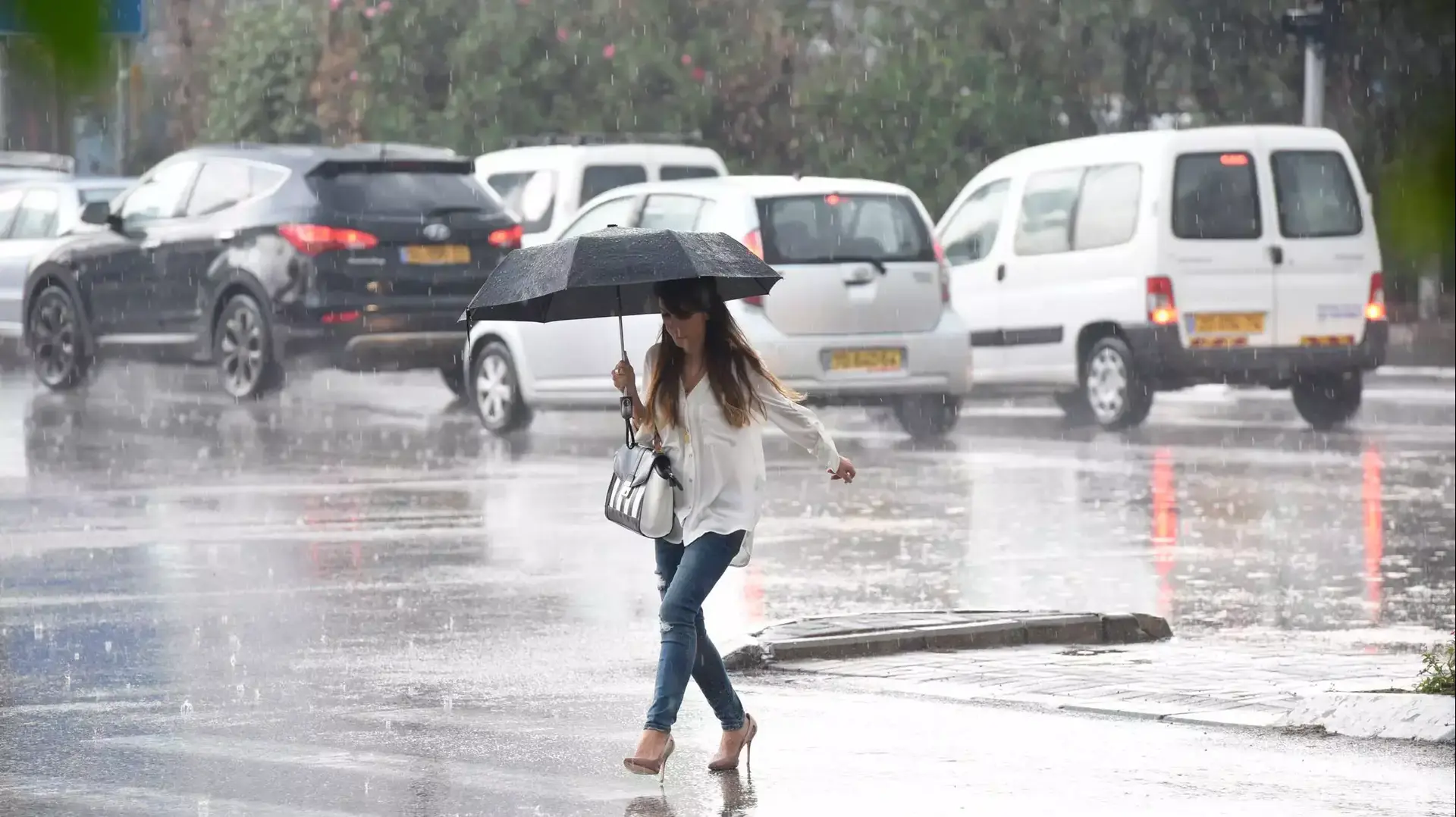 גשם ברחובות תל אביב, נובמבר 2015 גשם ברחובות תל אביב, נובמבר 2015