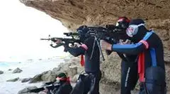 הקומנדו הימי של החזית הדמוקרטית בעזה הקומנדו הימי של החזית הדמוקרטית בעזה