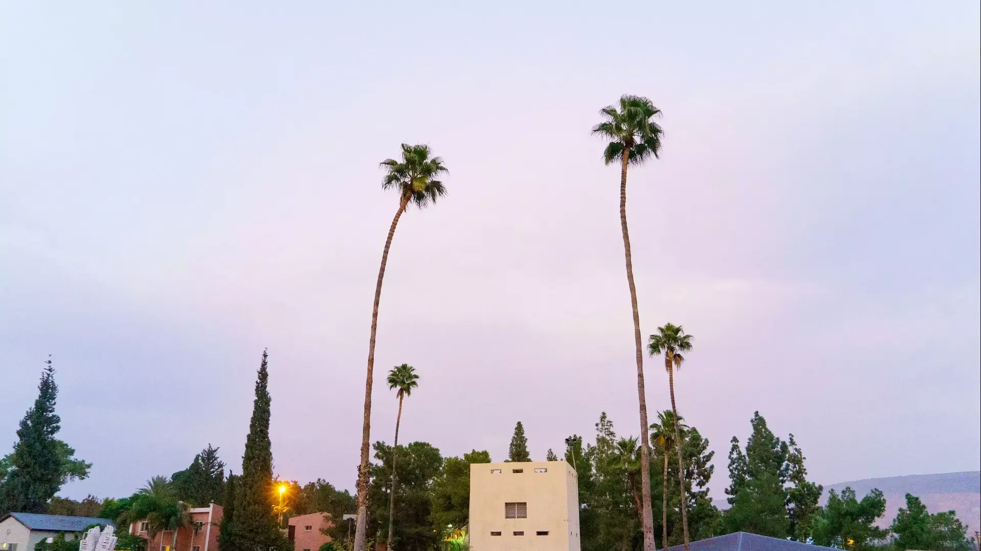 עמדת המדרון ששומרה כאתר היסטורי בקיבוץ שער הגולן, נובמבר 2015 עמדת המדרון ששומרה כאתר היסטורי בקיבוץ שער הגולן, נובמבר 2015
