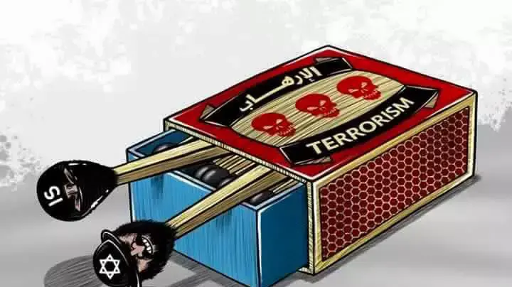 קריקטורות המאשימות את ישראל בפיגועים בפריז בפייסבוק של פתח קריקטורות המאשימות את ישראל בפיגועים בפריז בפייסבוק של פתח