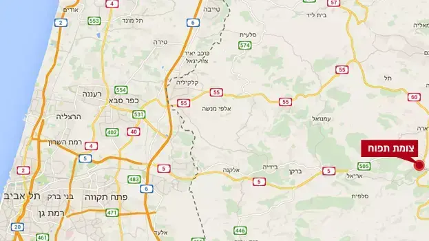 פיגוע צומת תפוח פיגוע צומת תפוח