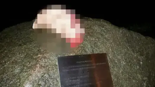 ראשי חזיר שנתלו על גדר בכניסה למחנה פליטים בהולנד, נובמבר 2015
