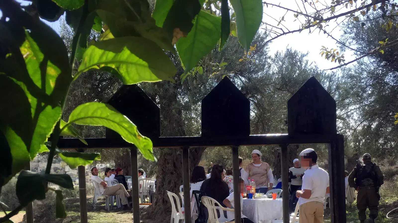מתנחלים מחברון התמקמו במטע פלסטינים פרטי בשכונת תל-רומידה, 28 בנובמבר 2015 מתנחלים מחברון התמקמו במטע פלסטינים פרטי בשכונת תל-רומידה, 28 בנובמבר 2015