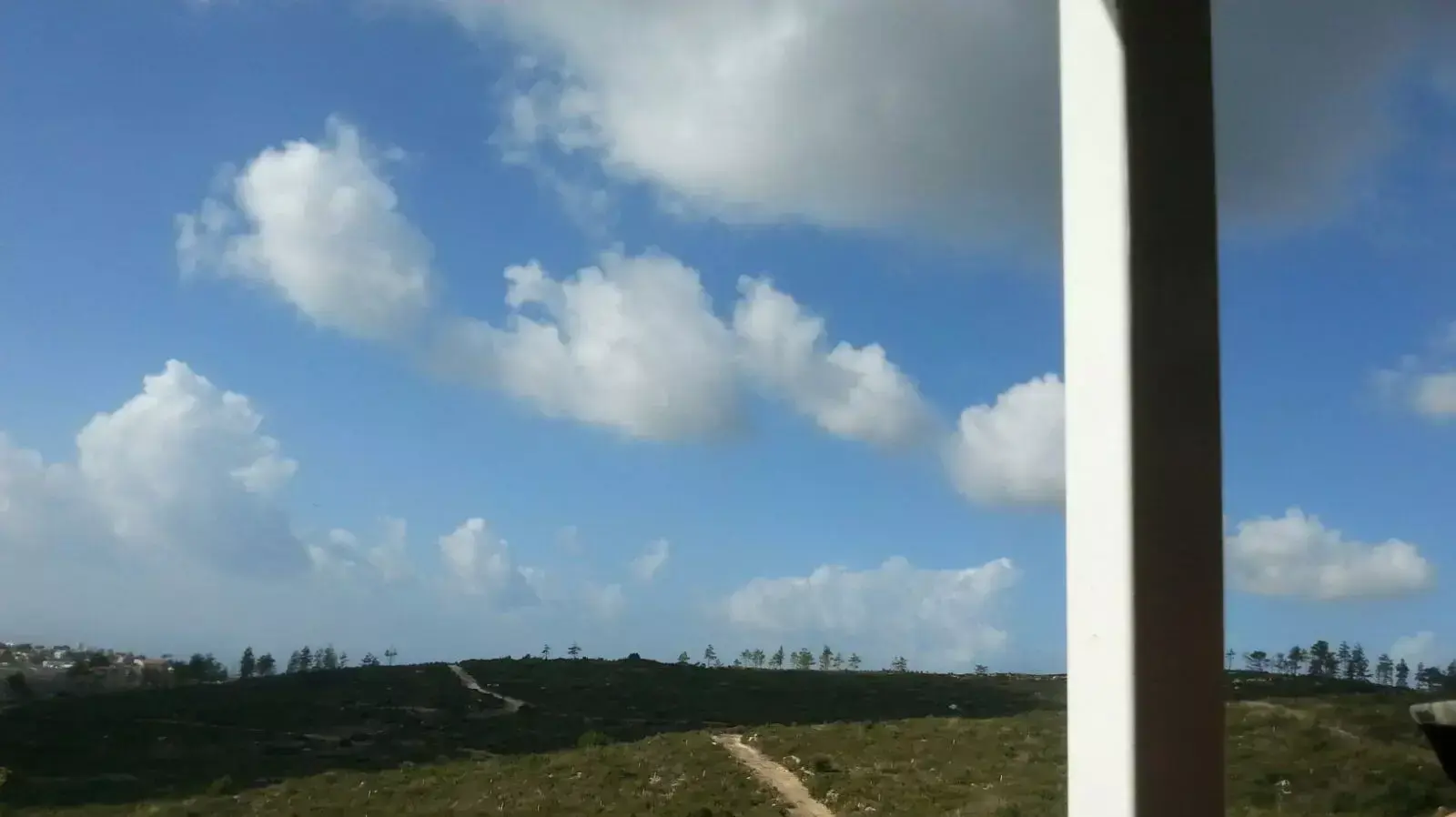 אסון הכרמל אסון הכרמל
