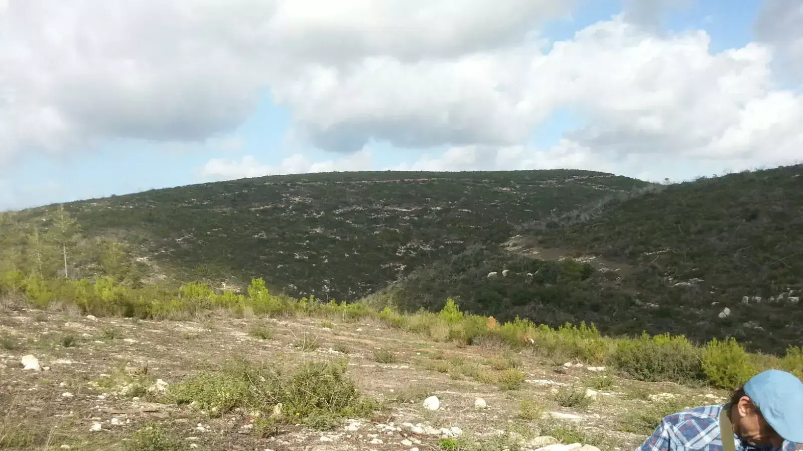 אסון הכרמל אסון הכרמל