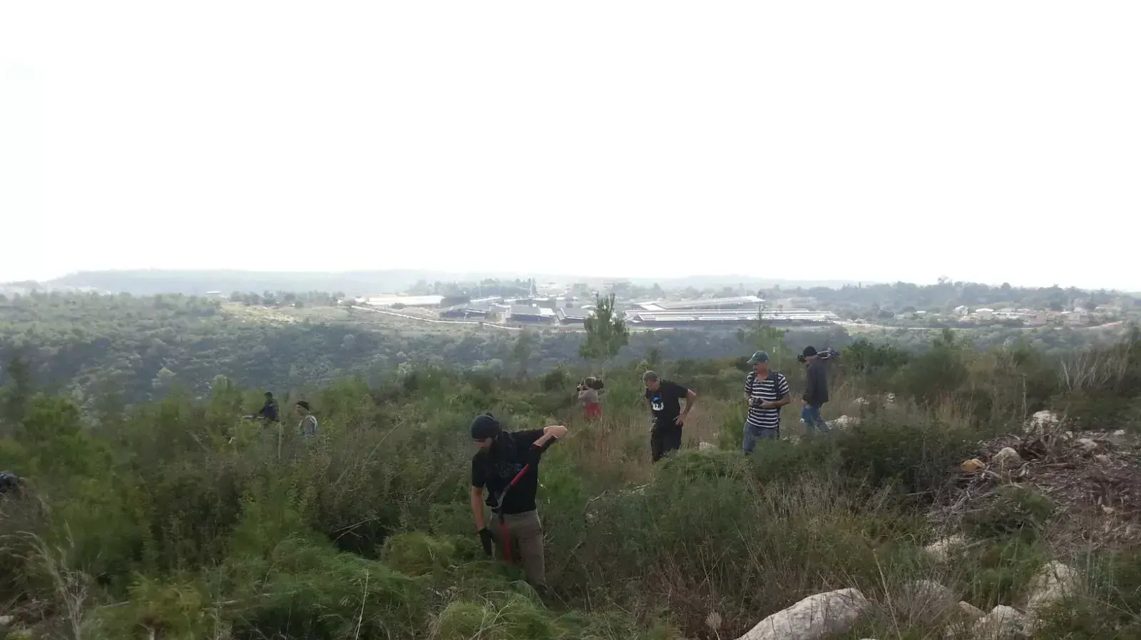 עבודות גינון ביער הכרמל אחרי אסון הכרמל עבודות גינון ביער הכרמל אחרי אסון הכרמל