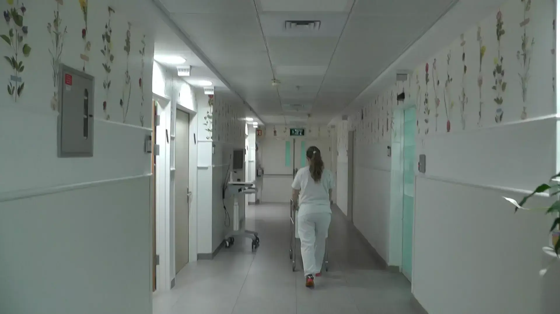 IFB פרופ' נתי קלר, בי"ח תל השומר על היולדות שנדבקו בחיידק טורף