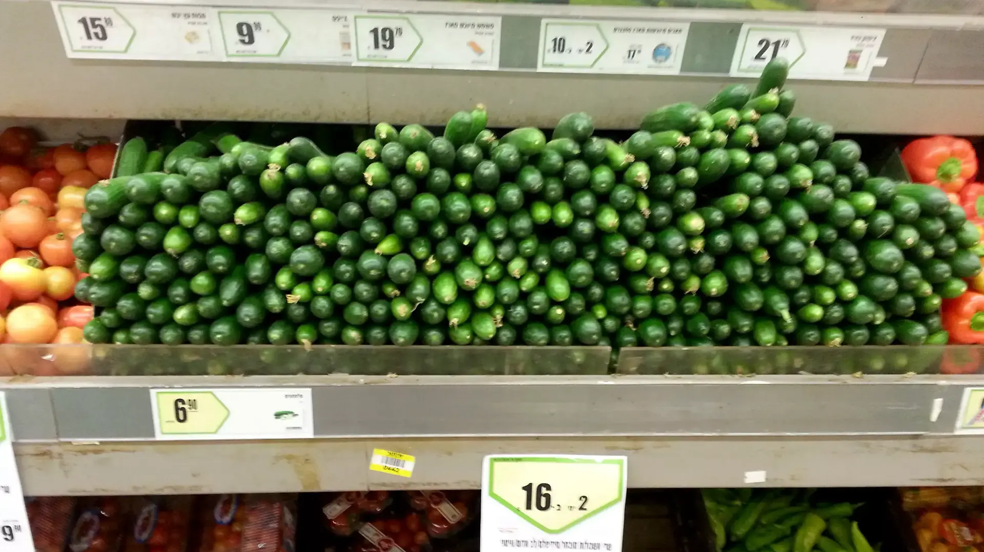 מלפפונים מלפפונים