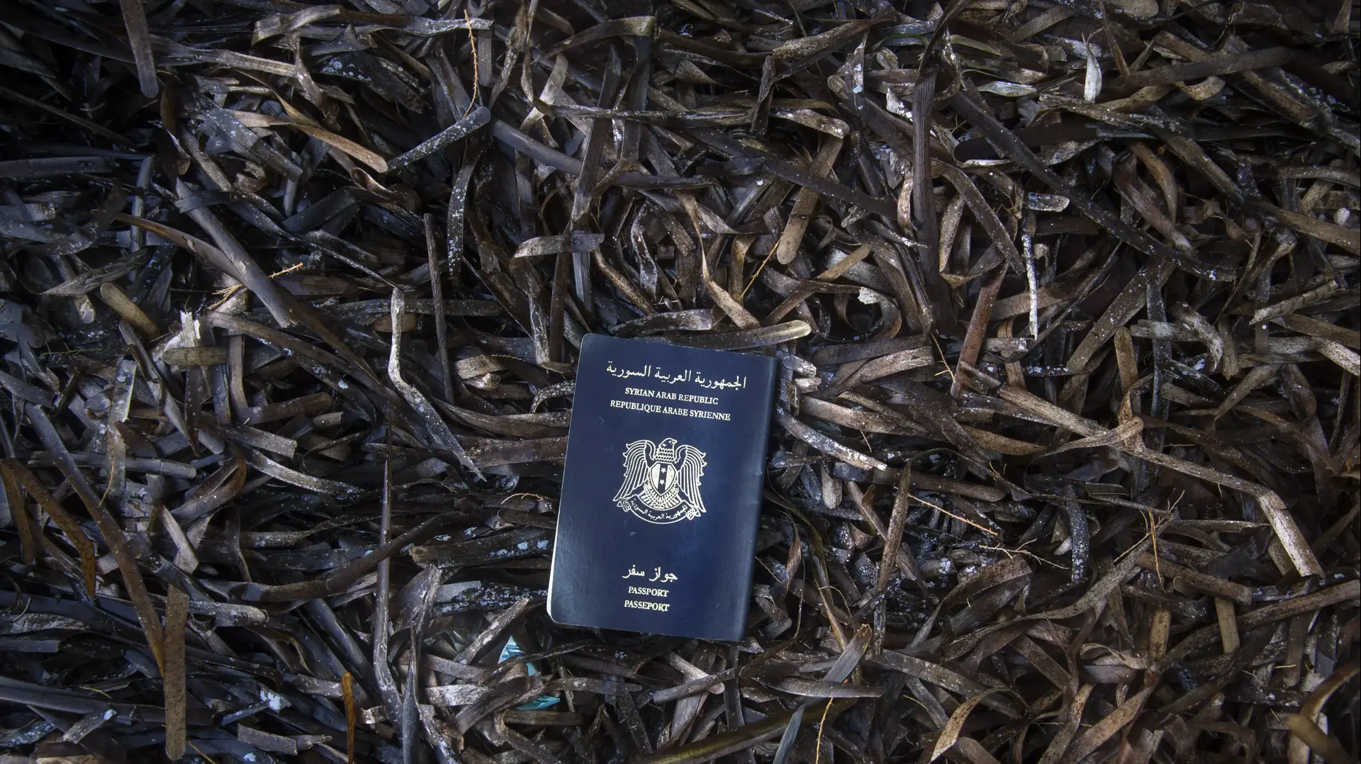 דרכונים של פליטים סורים ביוון, ספטמבר 2015 דרכונים של פליטים סורים ביוון, ספטמבר 2015