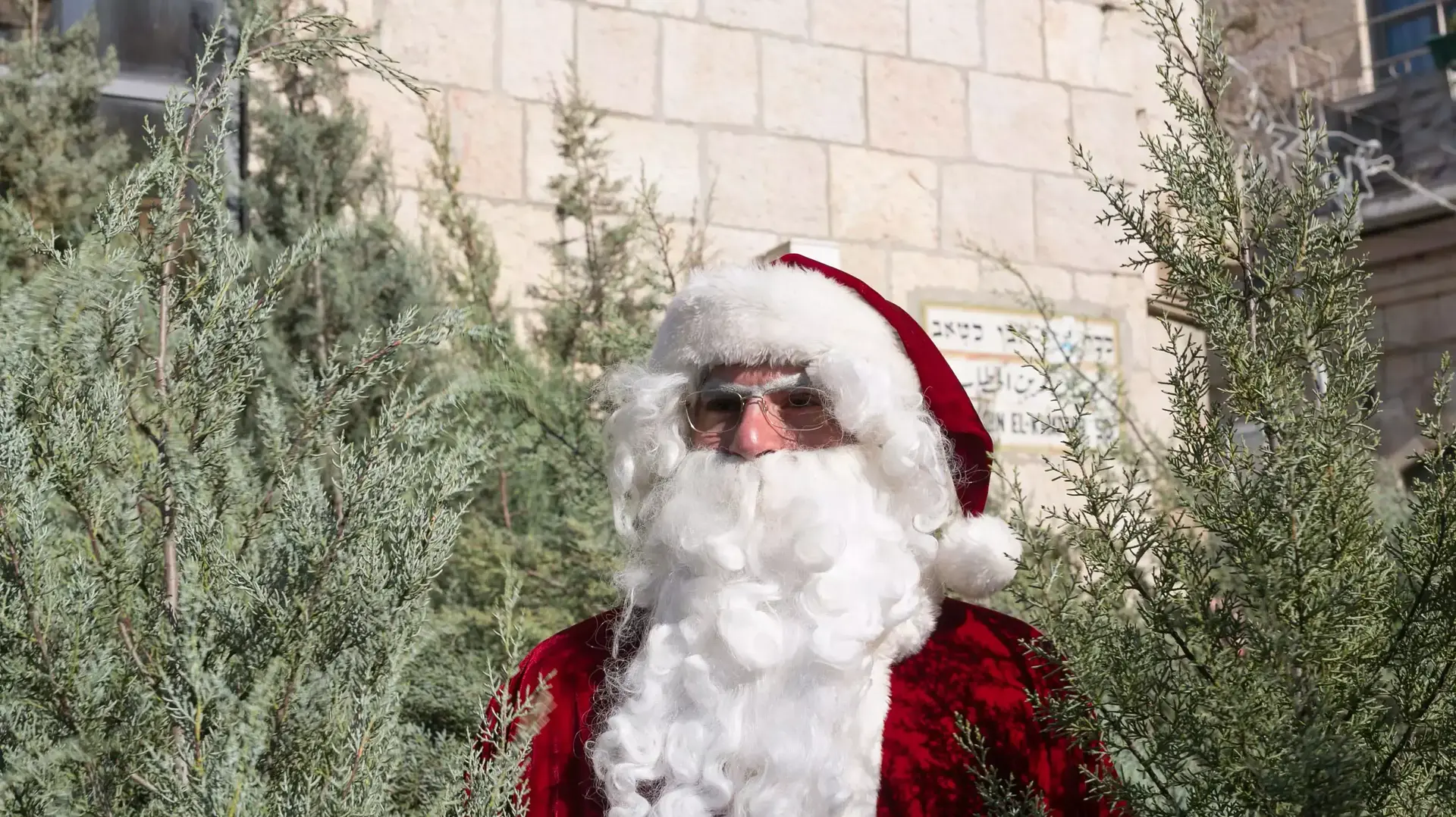 חלוקת עצי אשוח בשער יפו בירושלים לכבוד חג המולד חלוקת עצי אשוח בשער יפו בירושלים לכבוד חג המולד