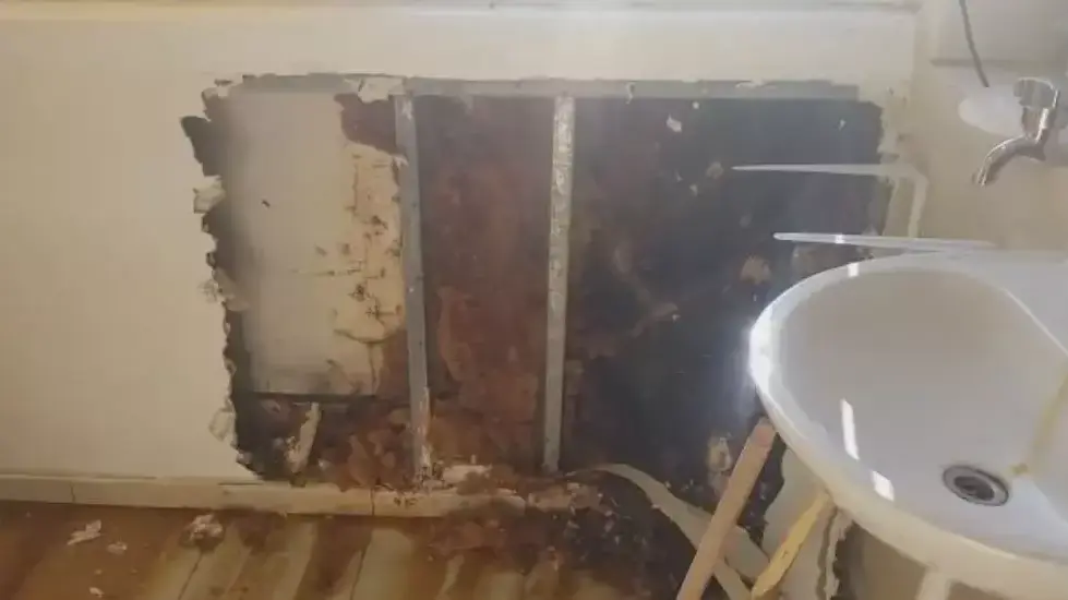 כוורת התגלתה בחדר מורים בבית ספר "נתיב מאיר" בבאר שבע