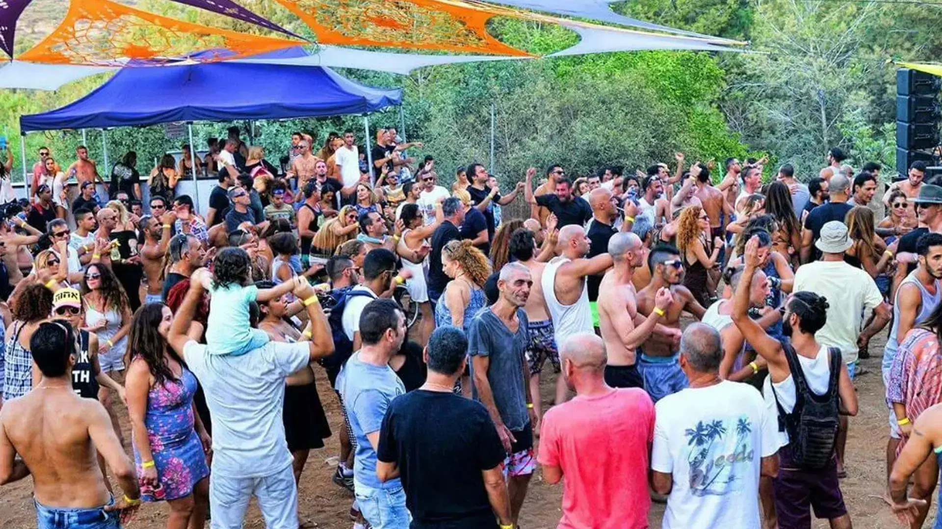 מסיבת טבע