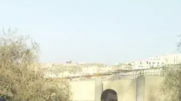 יען ברחובות שכונת גילה א', ירושלים. 27 בדצמבר 2015 יען ברחובות שכונת גילה א', ירושלים. 27 בדצמבר 2015