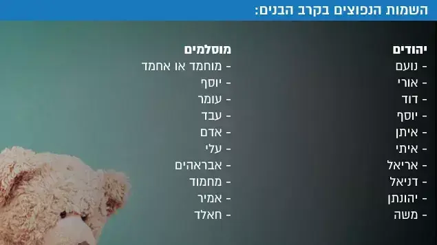 השמות הנפוצים בקרב הבנים המוסלמים: השמות הנפוצים בקרב הבנים המוסלמים: