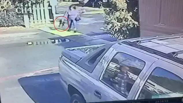 אישה משליכה כלב
