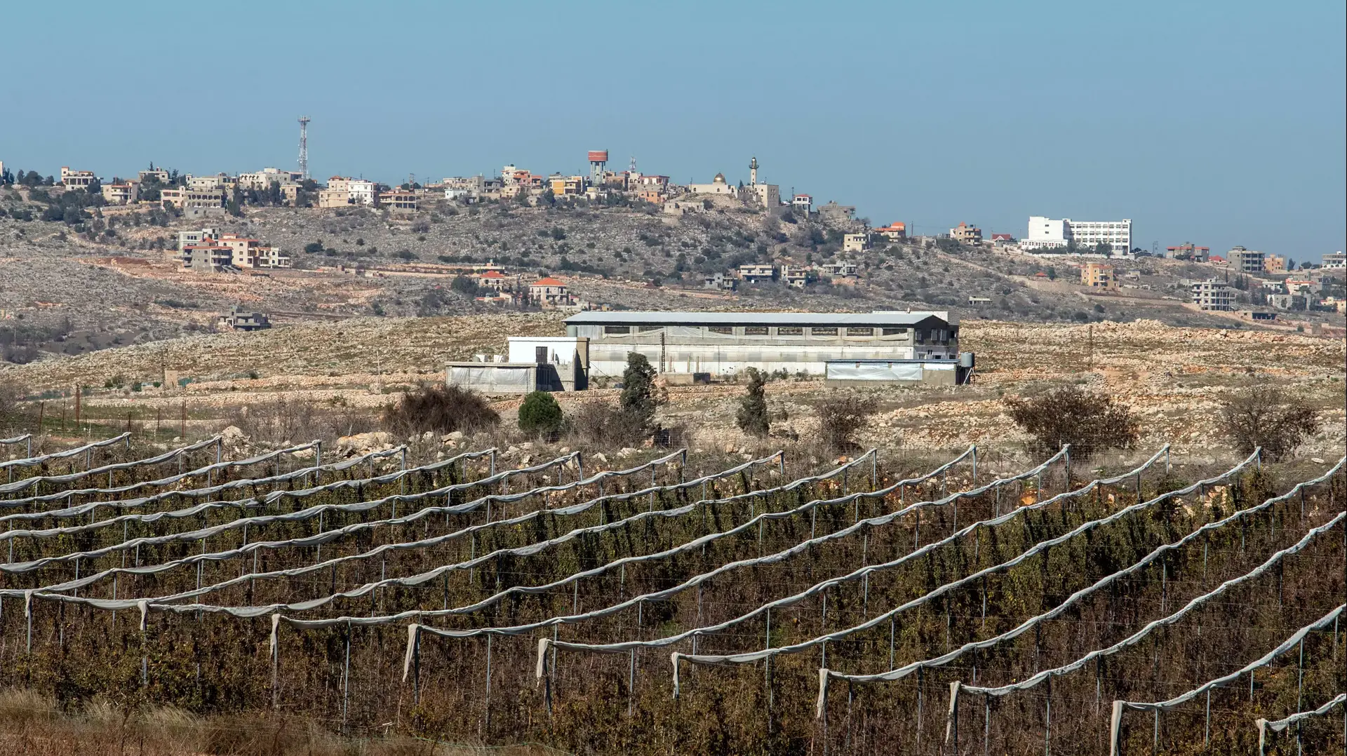 מטעים סמוך לקיבוץ יפתח, 28 בדצמבר 2015 מטעים סמוך לקיבוץ יפתח, 28 בדצמבר 2015