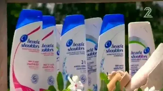 הישרדות הונדורס פרק 18 הישרדות הונדורס פרק 18