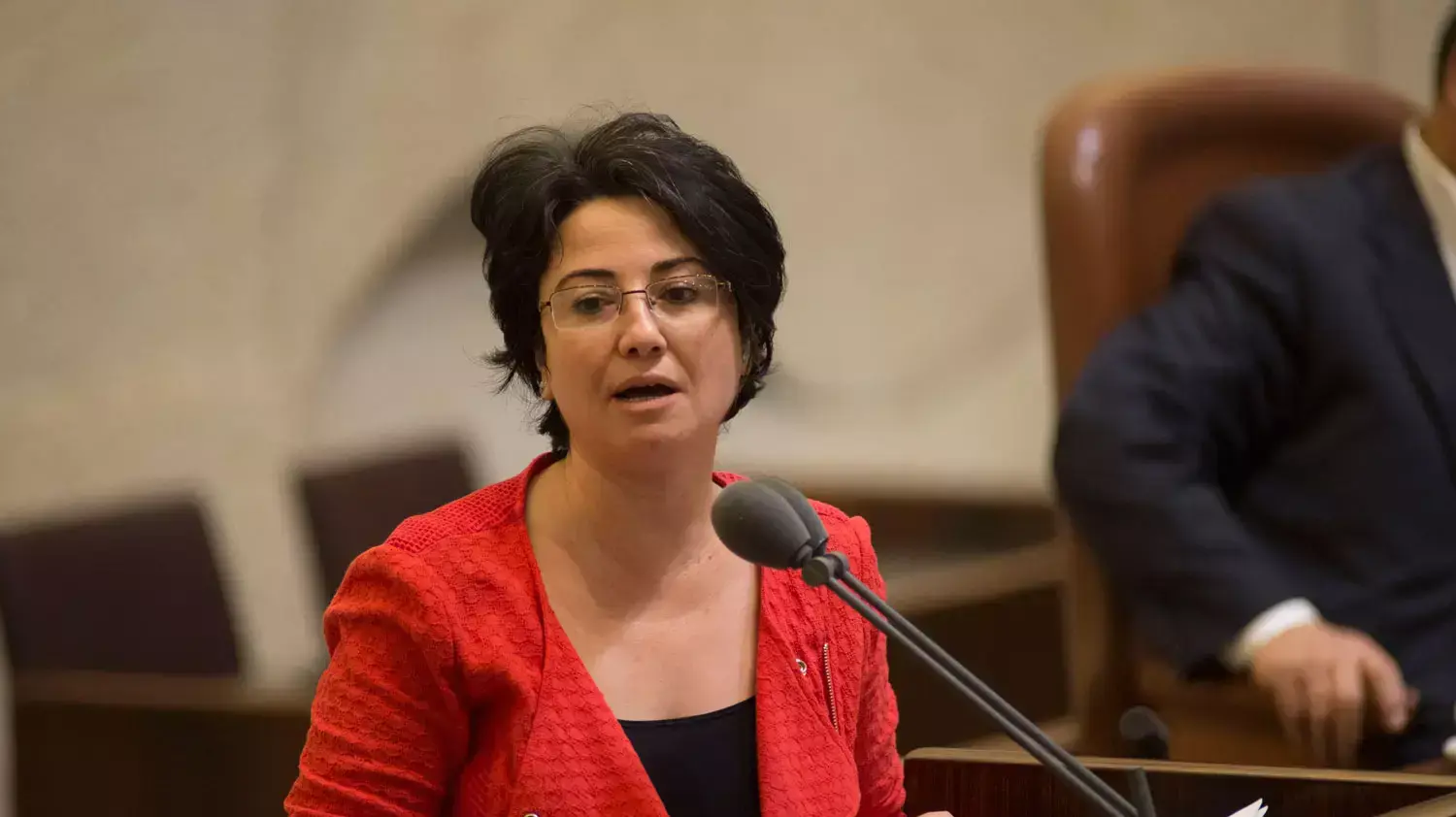 ח"כ חנין זועבי, מליאת הכנסת, 28 בדצמבר 2015 