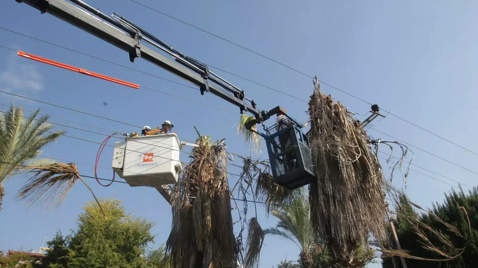 הערכות חברת חשמל לקראת הסערה הקרובה נמשכת: נפתחו מטות במחוזות החברה הערכות חברת חשמל לקראת הסערה הקרובה נמשכת: נפתחו מטות במחוזות החברה