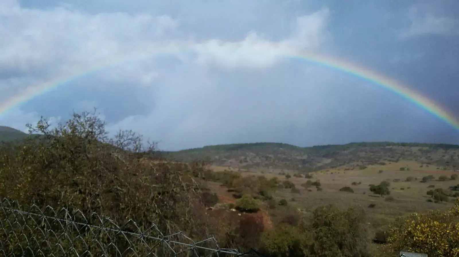קשת בענן ביער בית קשת 01 ינואר 2016 קשת בענן ביער בית קשת 01 ינואר 2016