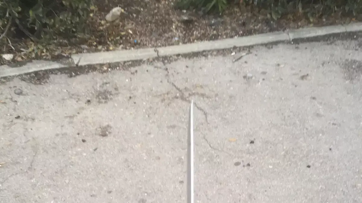 ניסיון דקירה בשכונת ארמון הנציב בירושלים, ינואר 2016 ניסיון דקירה בשכונת ארמון הנציב בירושלים, ינואר 2016