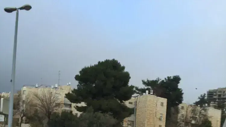 ניסיון דקירה בשכונת ארמון הנציב בירושלים, ינואר 2016 ניסיון דקירה בשכונת ארמון הנציב בירושלים, ינואר 2016
