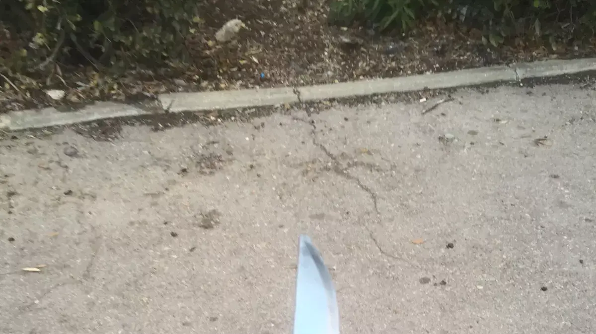 ניסיון דקירה בשכונת ארמון הנציב בירושלים, ינואר 2016 ניסיון דקירה בשכונת ארמון הנציב בירושלים, ינואר 2016